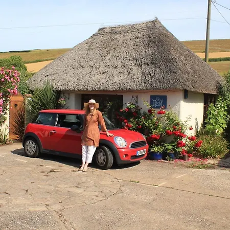 The Nest - Thatched Seaside Country Cottage For Two Stokeinteignhead Exterior photo