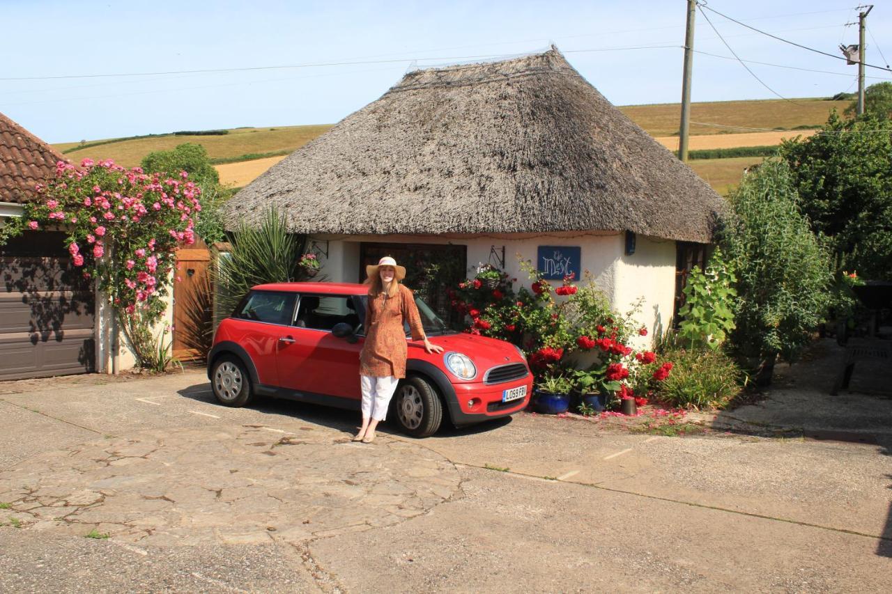 The Nest - Thatched Seaside Country For Two Holiday home