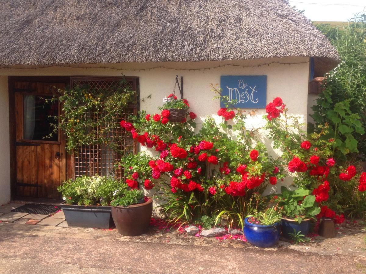 The Nest - Thatched Seaside Country For Two