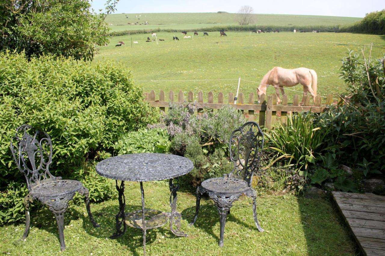 The Nest - Thatched Seaside Country For Two Holiday home *