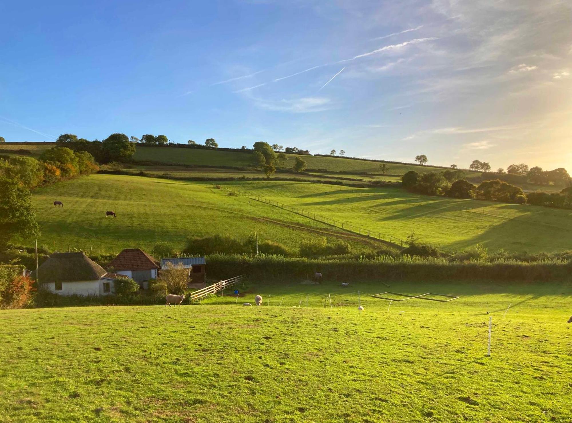 Holiday home The Nest - Thatched Seaside Country For Two