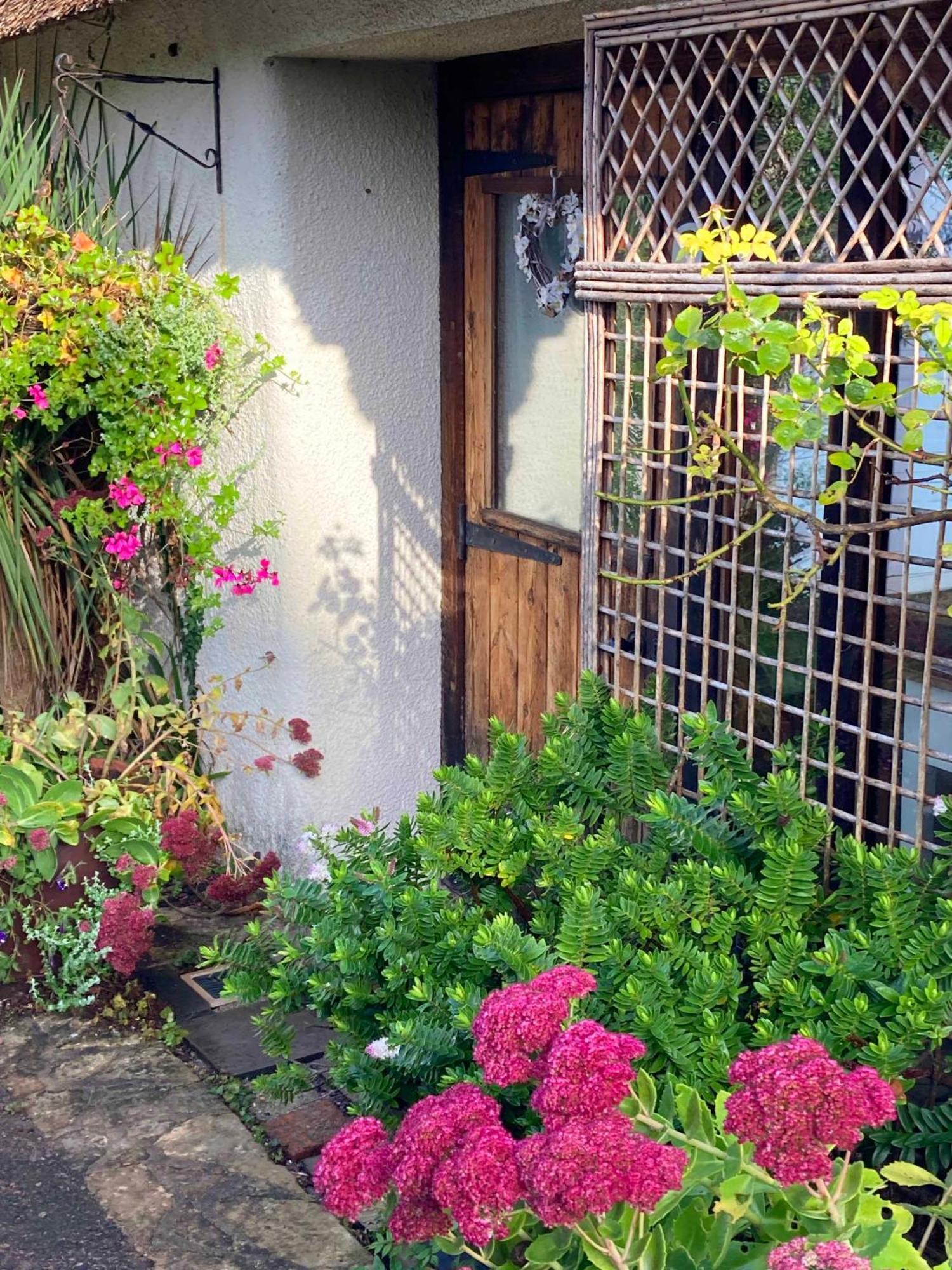 Holiday home The Nest - Thatched Seaside Country For Two Stokeinteignhead