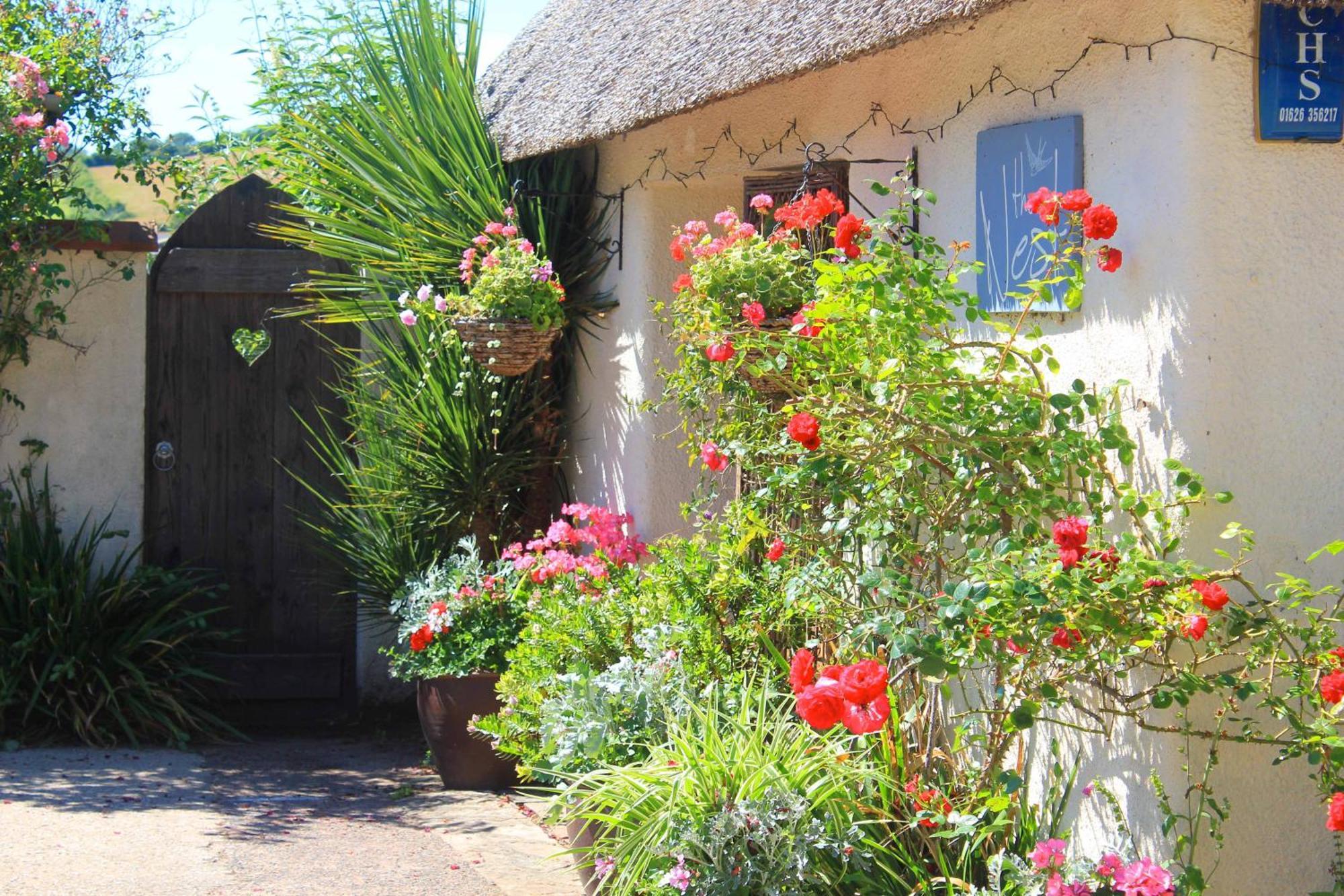 The Nest - Thatched Seaside Country For Two Holiday home *