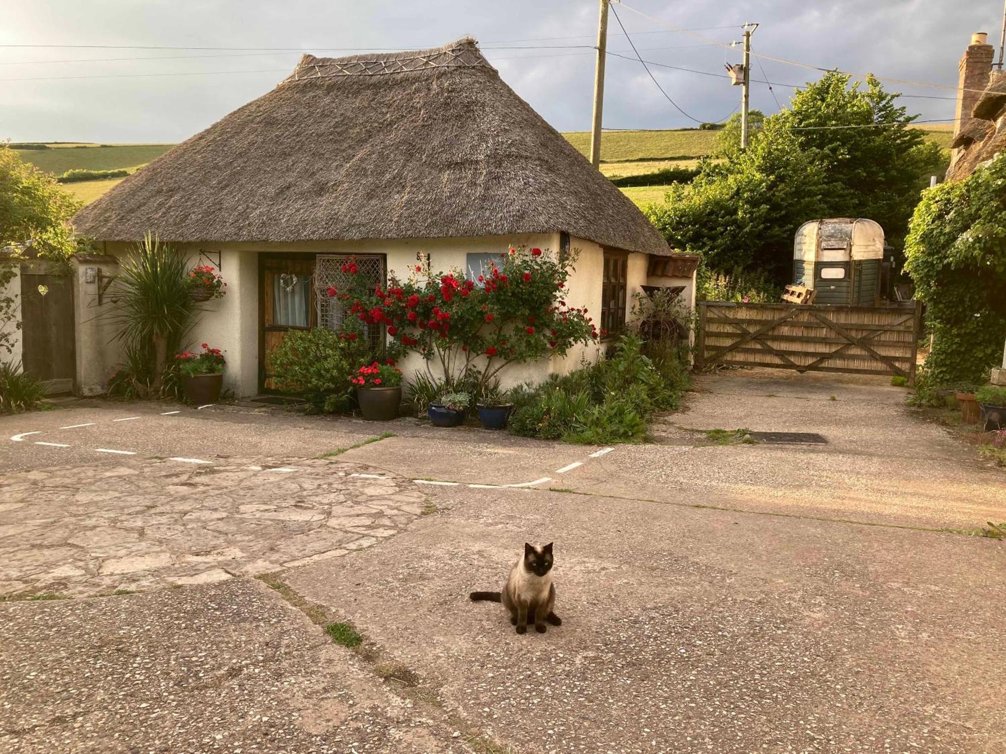 The Nest - Thatched Seaside Country For Two Holiday home *