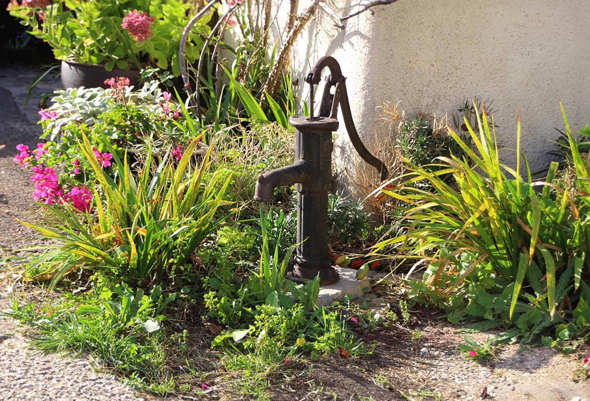The Nest - Thatched Seaside Country For Two Holiday home Stokeinteignhead